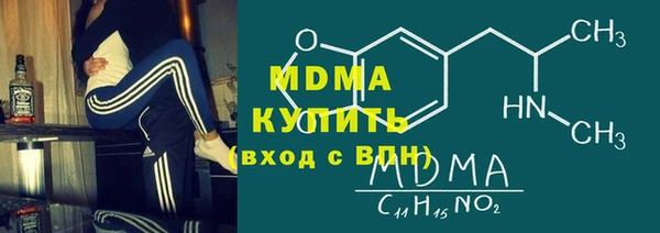 гашик Алексин