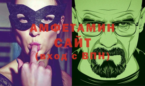 гашик Алексин
