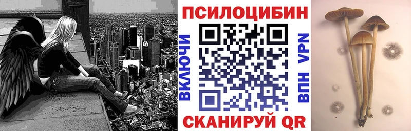 мега ссылки Тавда Псилоцибиновые грибы Magic Shrooms