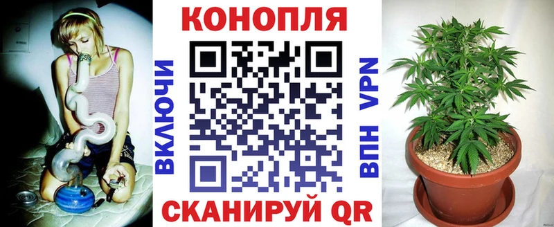сколько стоит  Тавда  Бошки Шишки план 